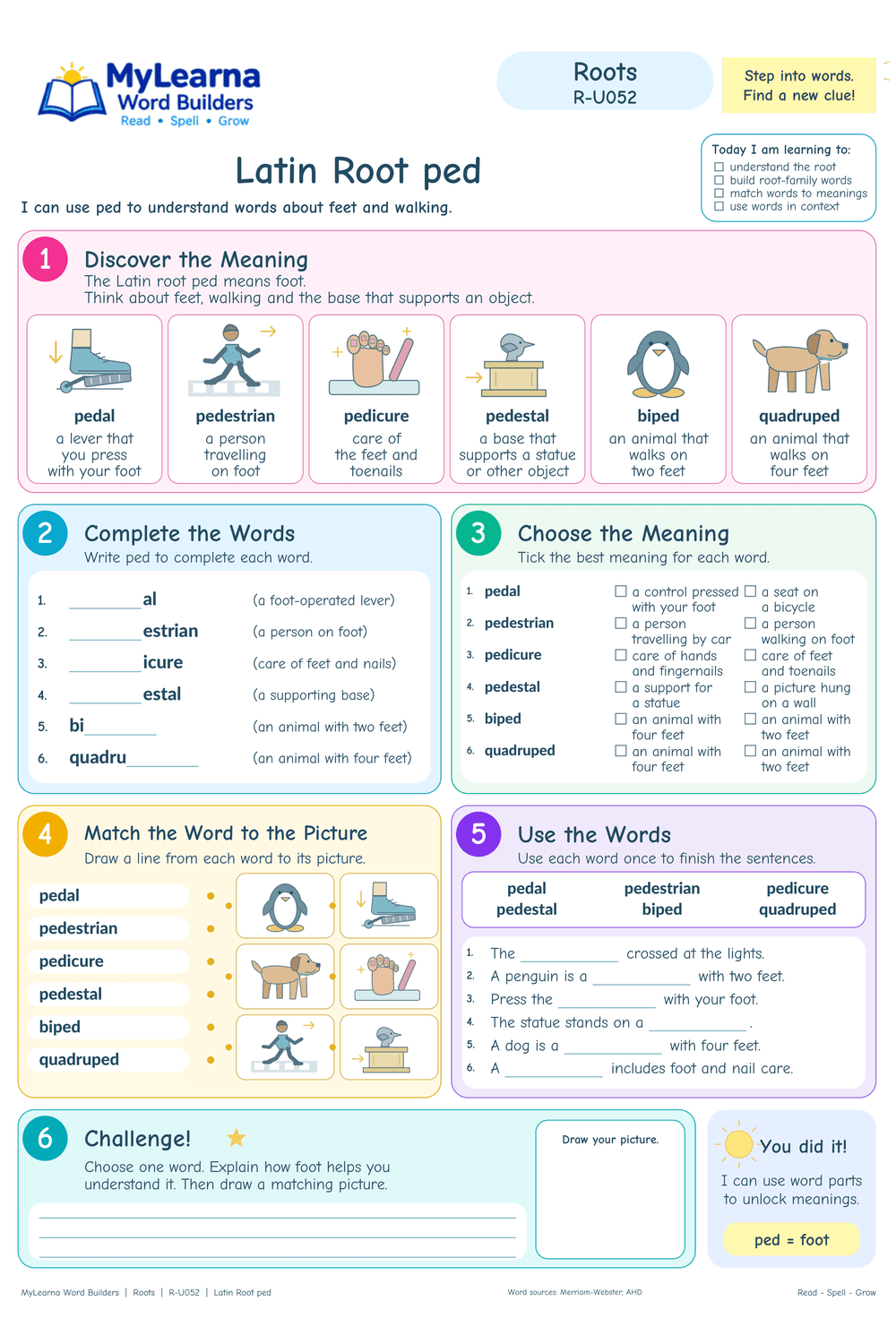 Latin Root ped worksheet preview